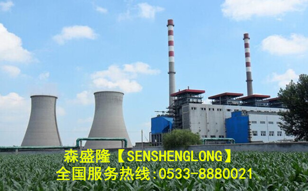 忻州反滲透阻垢劑行業(yè)應(yīng)用實(shí)例