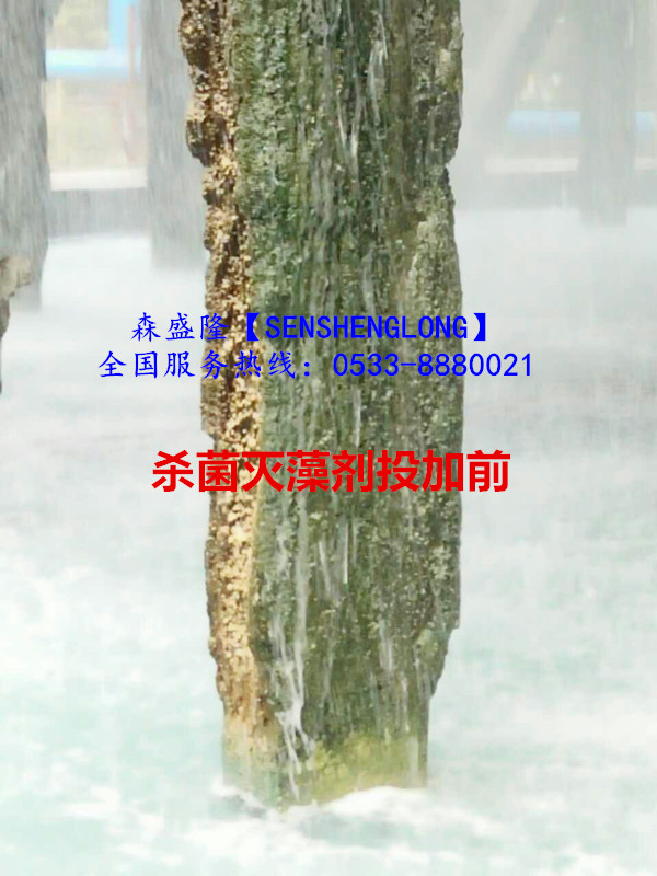 循環(huán)水殺菌滅藻劑氧化與非氧化專利配方