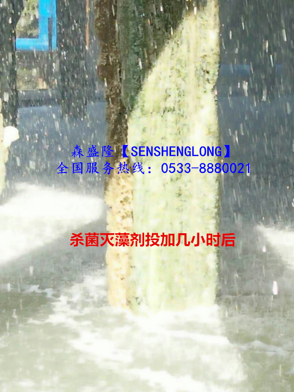 循環(huán)水殺菌滅藻劑氧化與非氧化專利配方